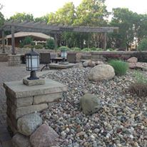 Penny Tree Events - 5