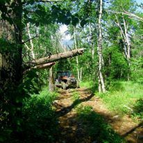 Recreational Springs Resort - 4