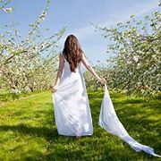 Meadow Barn at Country Orchards - 1