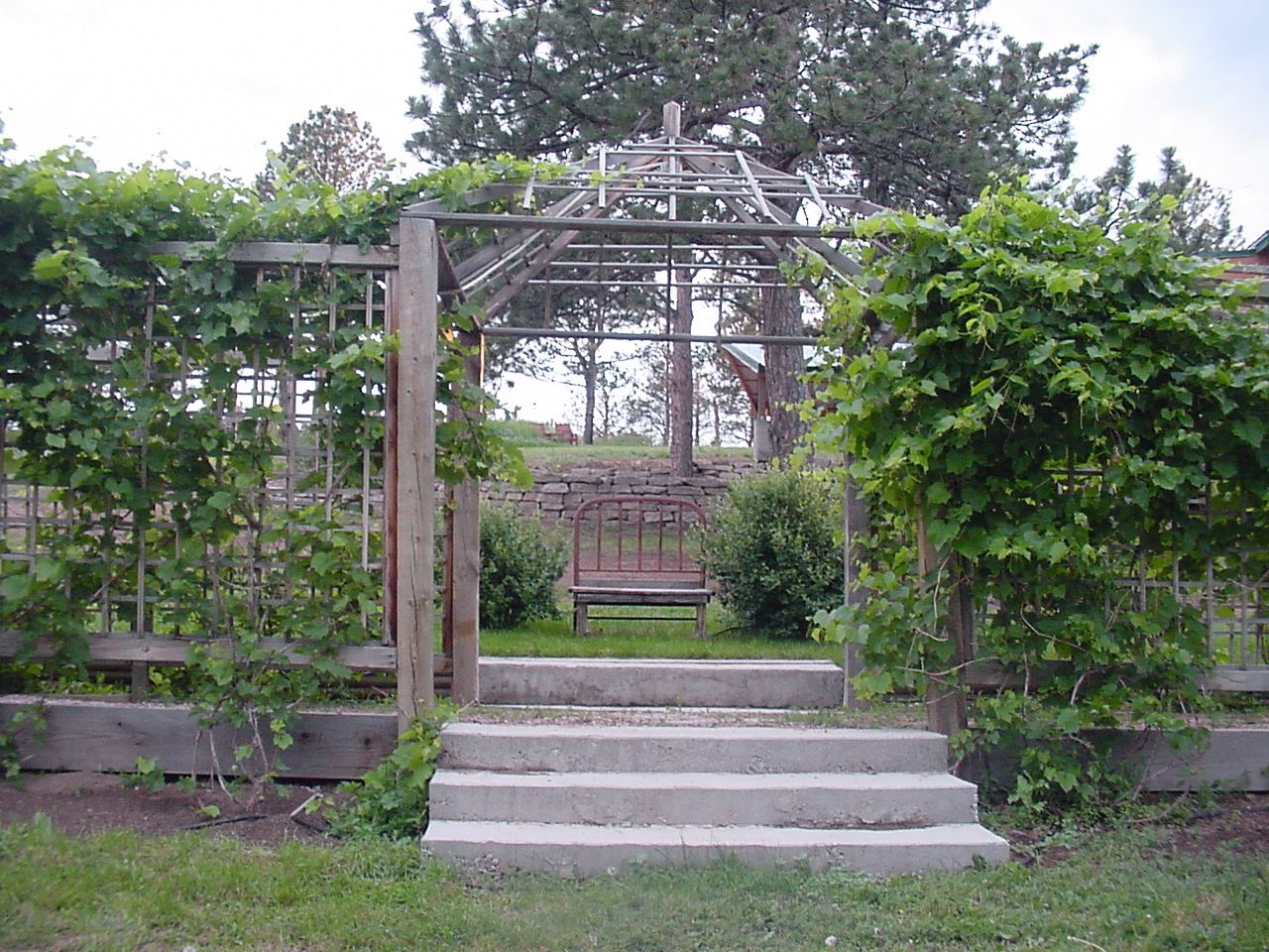 Sunshine Valley Gardens - 5