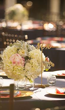 The Terrace Club - 6