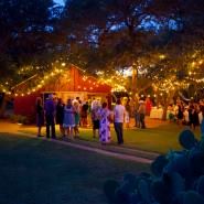 The Wildflower Barn - 7