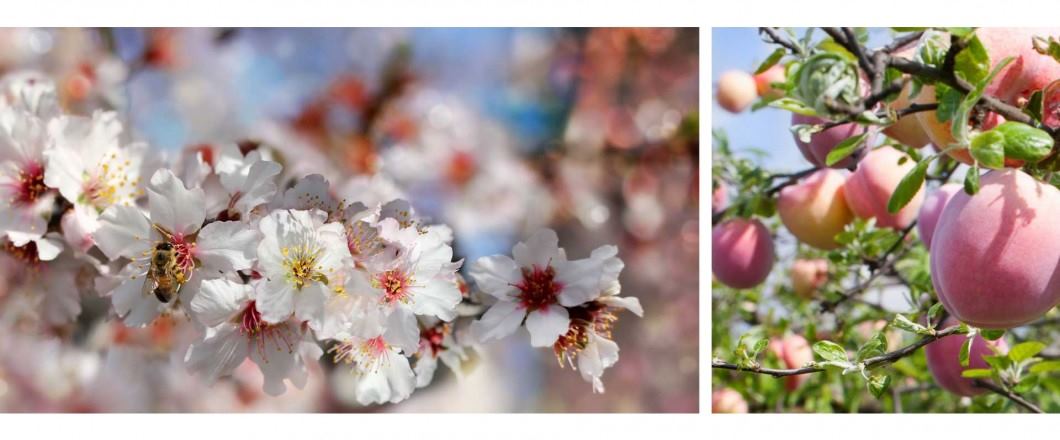 The Venue At Orchard Farms - 7