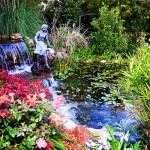 Reflections On Spring Creek - 6