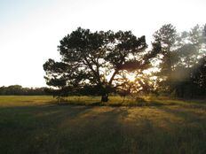 Ranch House Chapel And Lodge - 5