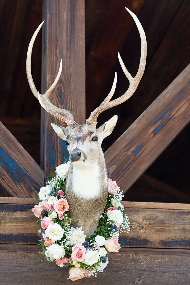 Thistle Springs Ranch - 4