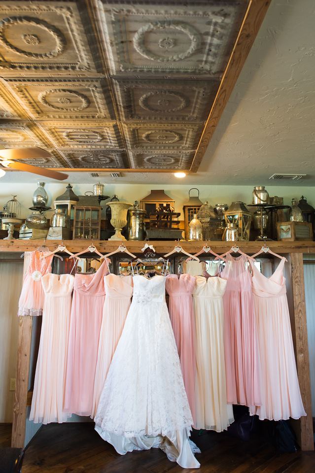 Thistle Springs Ranch - 7