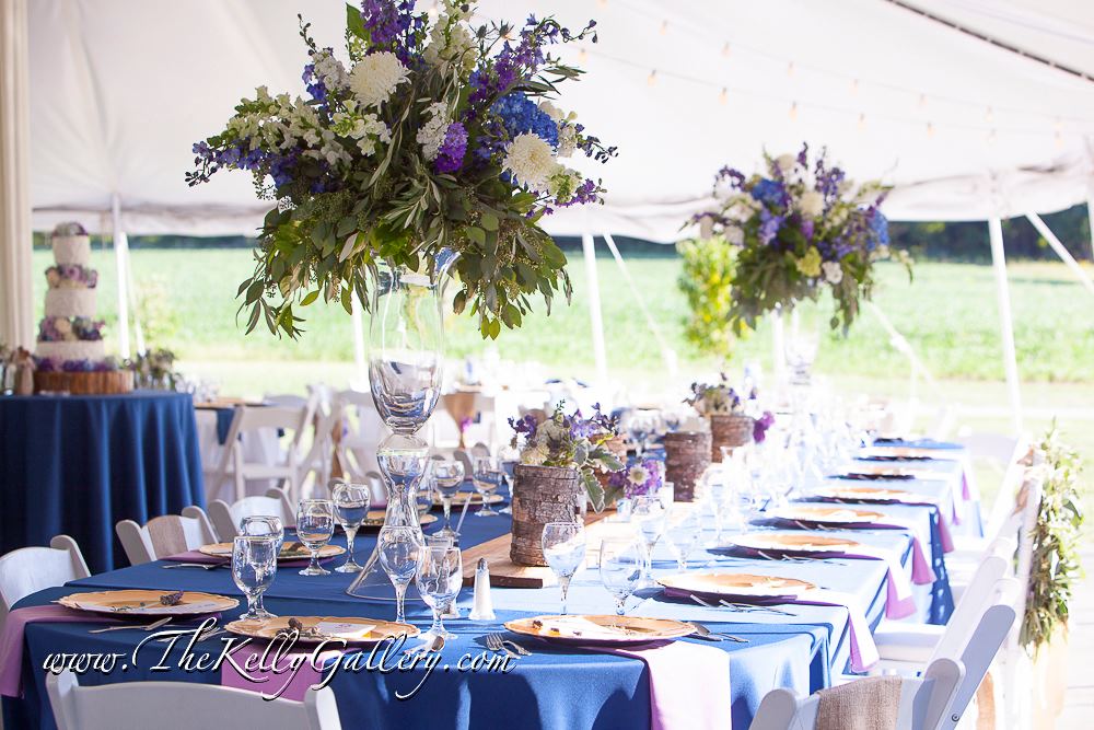 The Gardens At The Kelly Gallery - 7