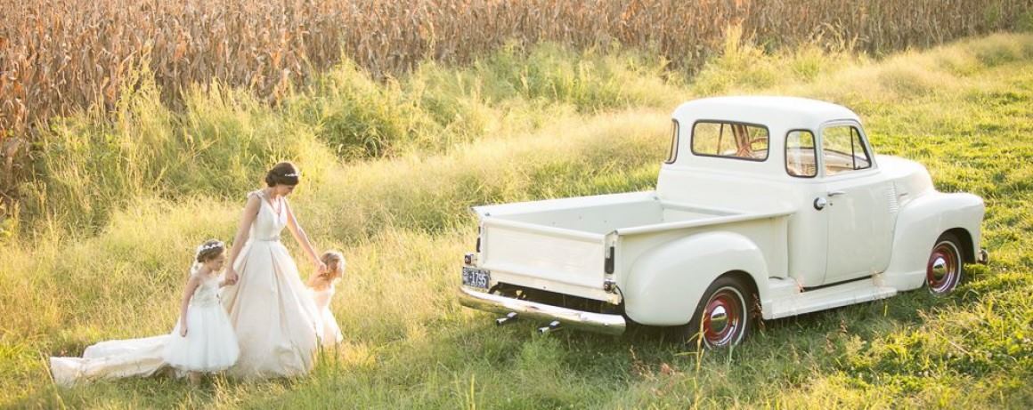 The Gardens At The Kelly Gallery - 3