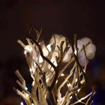 Sheraton Albuqurque Uptown - 2