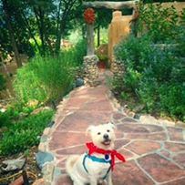 Inn Of The Turquoise Bear - 4