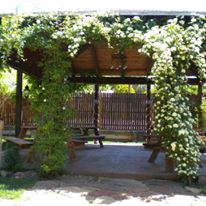 Koinonia Gardens Venue - 6