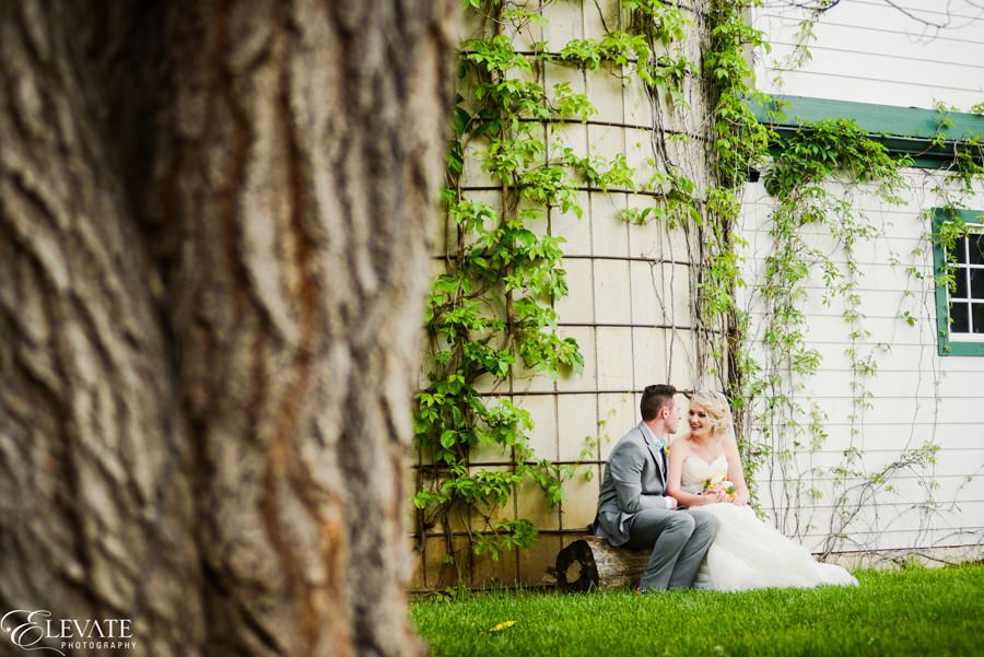 Lionsgate Center: Dove House And Gatehouse - 2