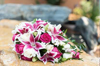 Wedgewood Brittany Hill - 4