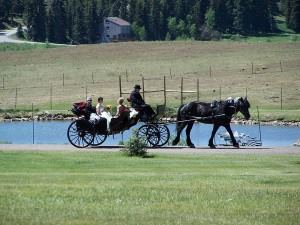 The Barn At Evergreen Memorial Park - 7