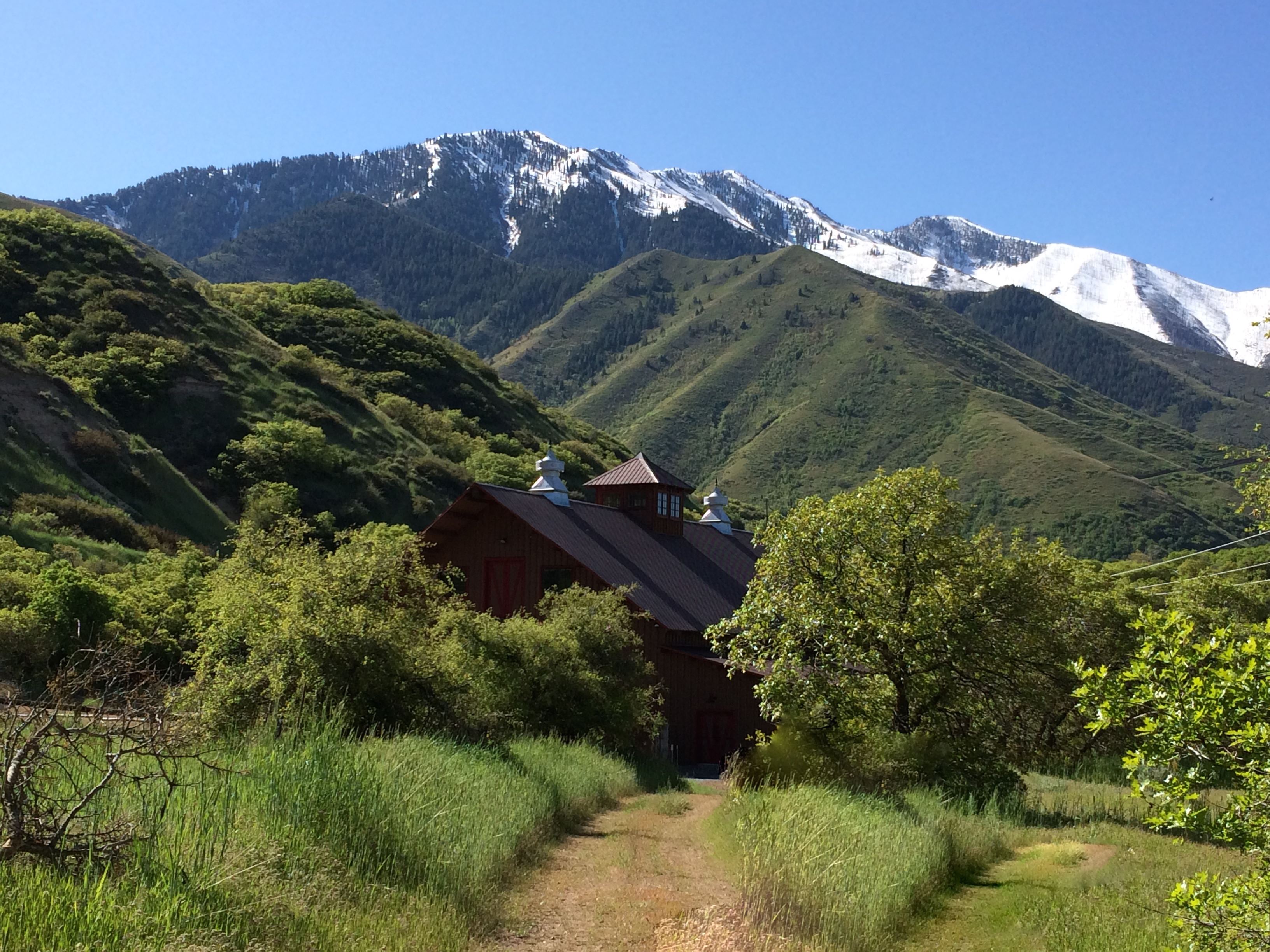 Quiet Meadow Farm Weddings And Events - 2