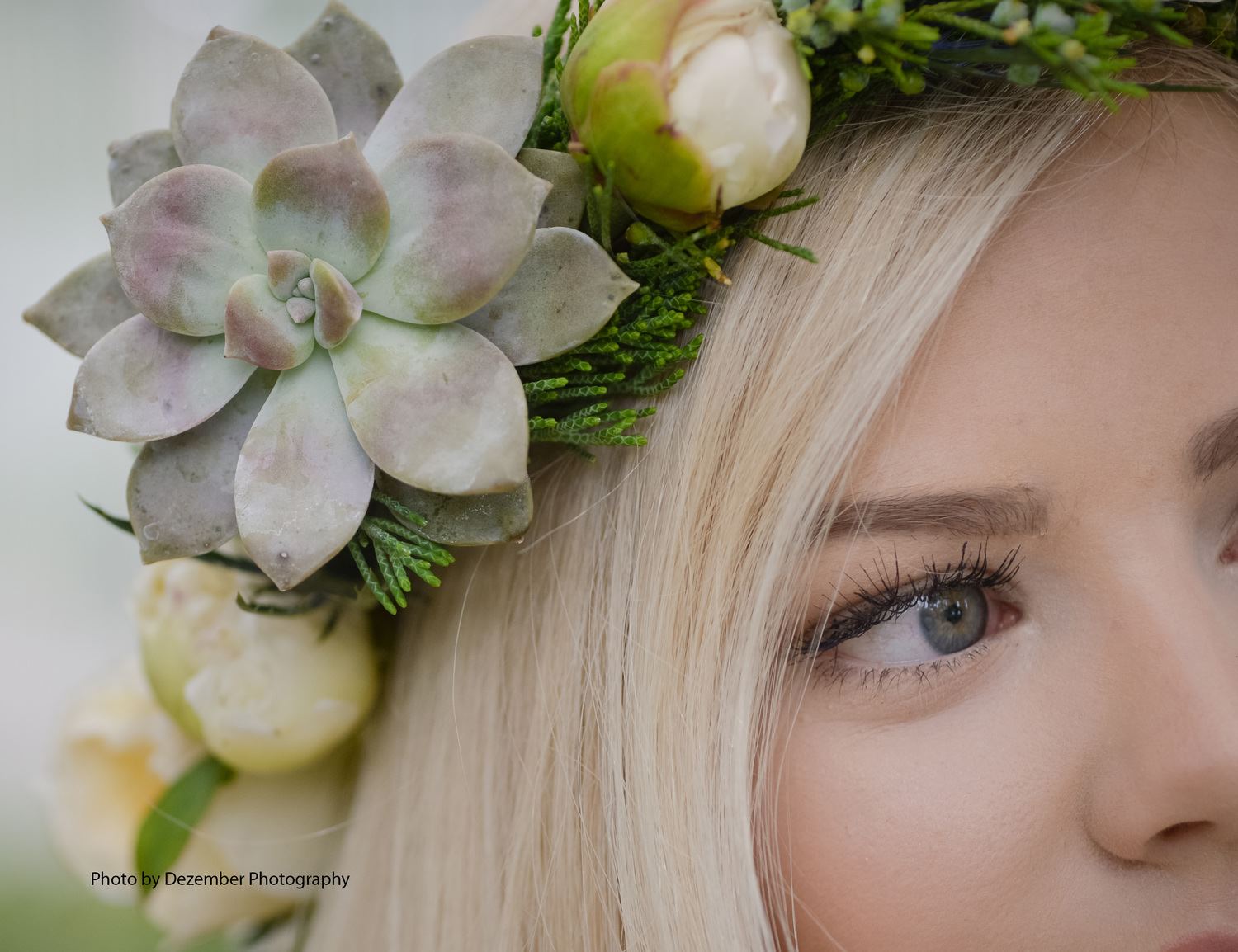 Cactus And Tropicals - 4