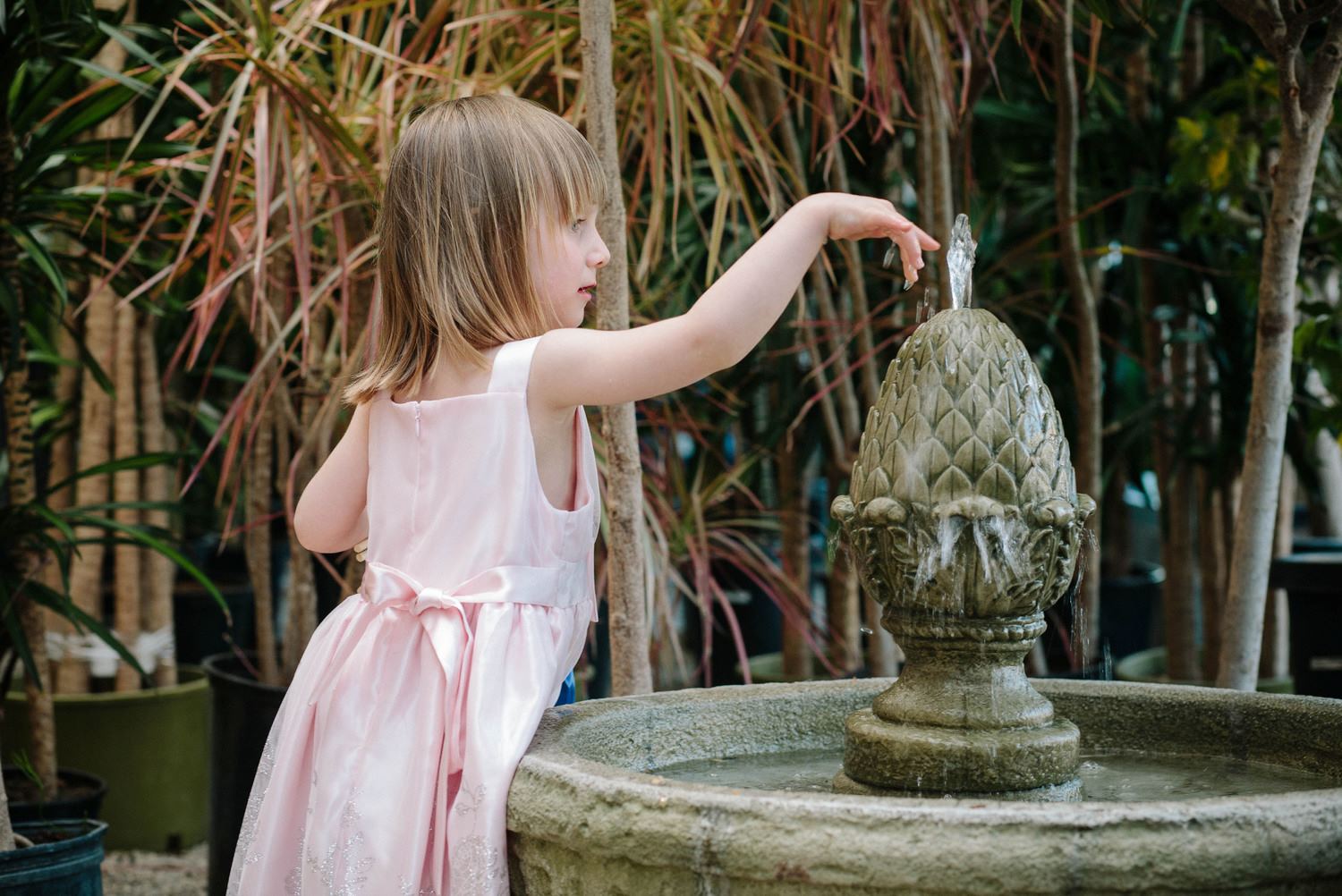 Cactus And Tropicals - 5