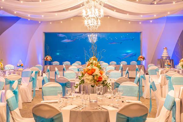 Loveland Living Planet Aquarium - 2