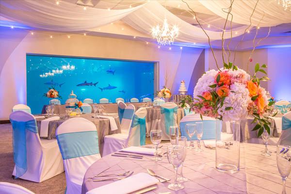 Loveland Living Planet Aquarium - 7