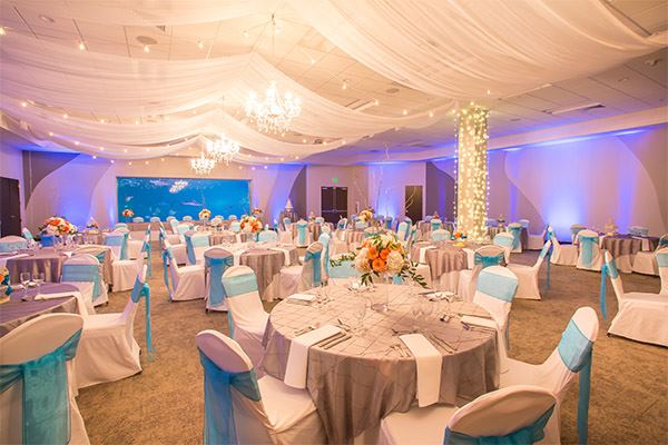 Loveland Living Planet Aquarium - 3