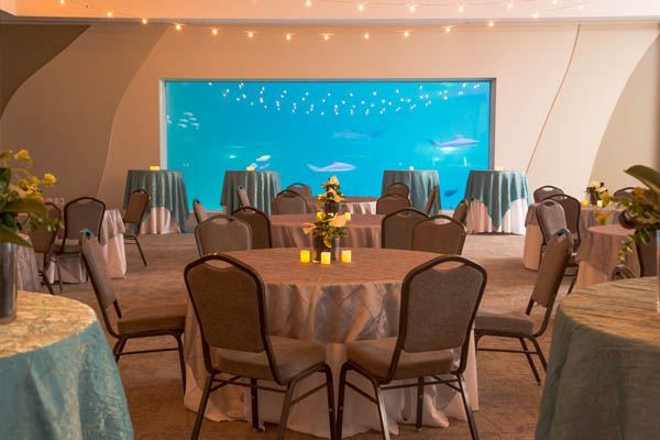 Loveland Living Planet Aquarium - 5