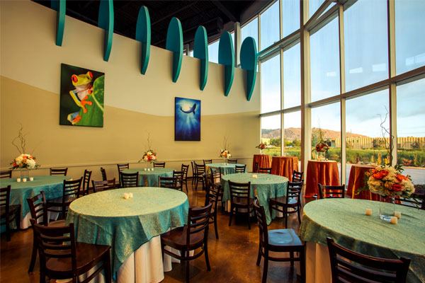 Loveland Living Planet Aquarium - 6