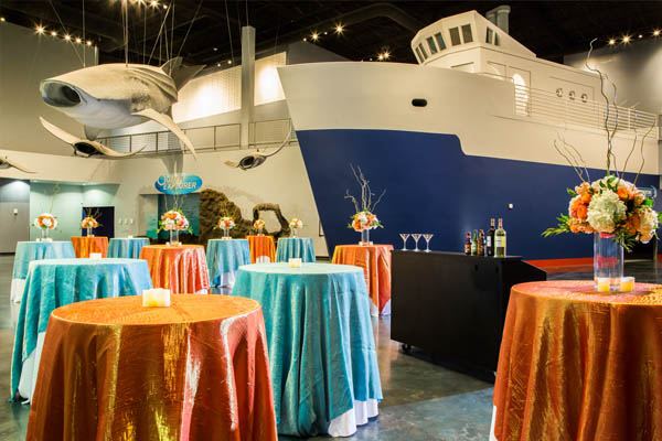 Loveland Living Planet Aquarium - 4