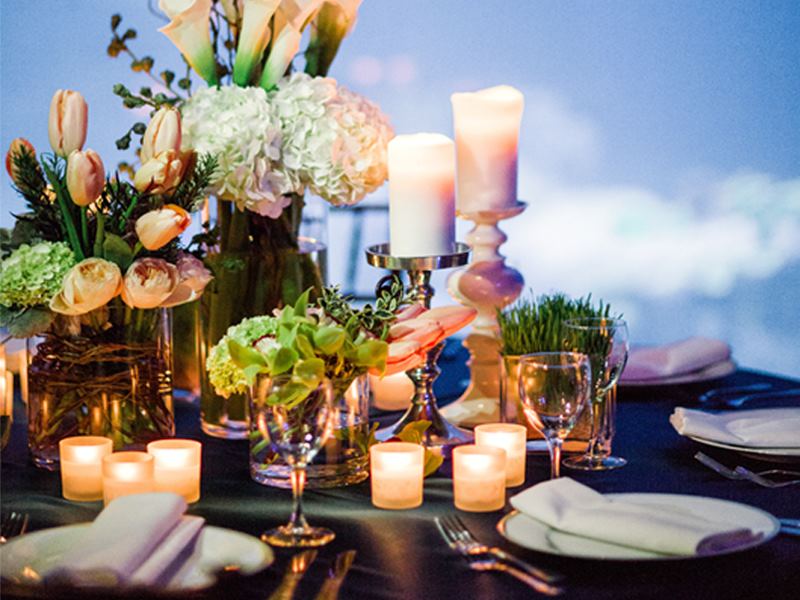 Loveland Living Planet Aquarium - 1