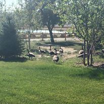 Sweetwater Events Complex - 2