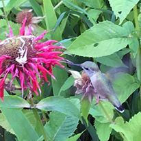 Trail End Historic Site - 5