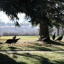 Trail End Historic Site - 3