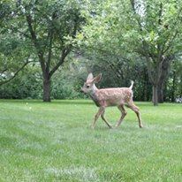 Trail End Historic Site - 2