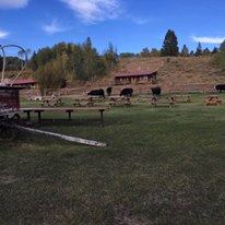 Heart 6 Guest Ranch - 6