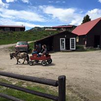 Heart 6 Guest Ranch - 5