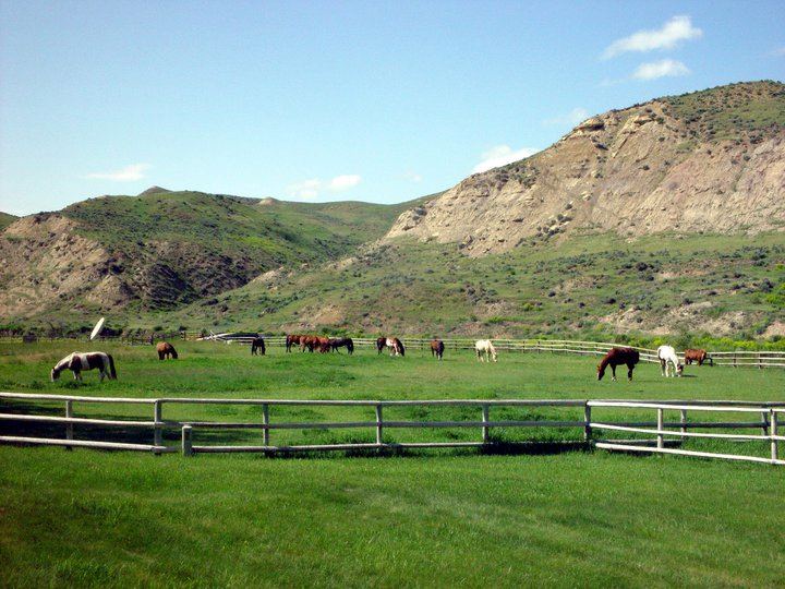 The Ranch At Ucross - 5