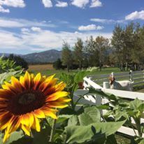 Rancho Alegre Lodge - 1