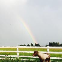 Rancho Alegre Lodge - 6