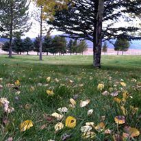 Rancho Alegre Lodge - 3