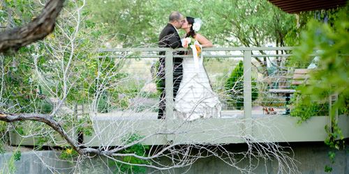 Springs Preserve - 1