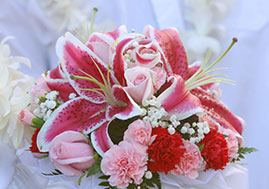 My Hawaii Wedding - 3