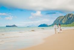 Hawaii Weddings - 1