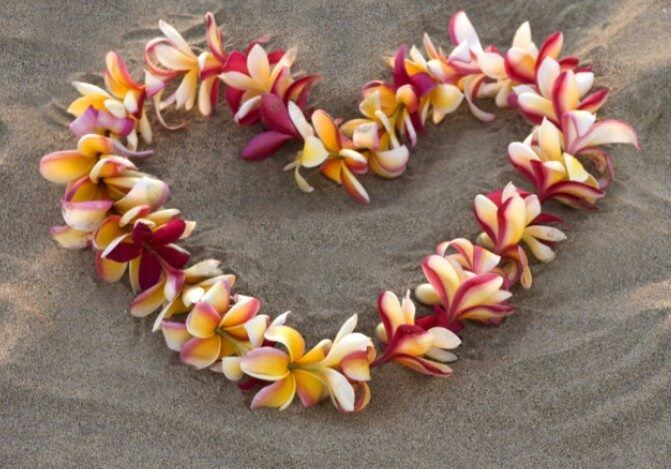 Royal Kona Resort - 1