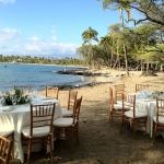 Lava Lava Beach Club - 4