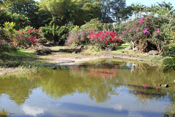 Nani Mau Gardens - 1