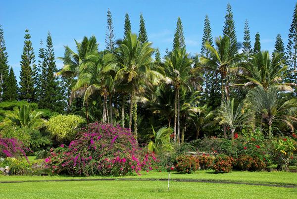 Nani Mau Gardens - 5
