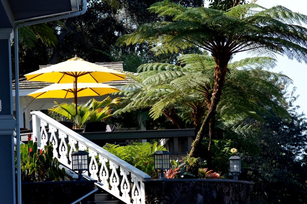 Ohi'a Park Estate - 5