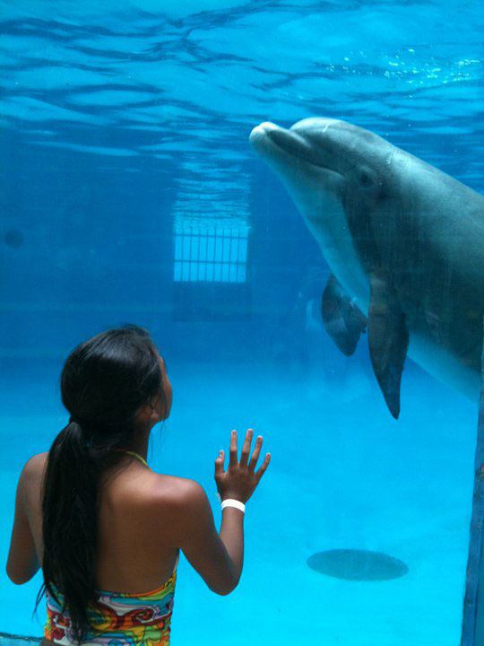 Sea Life Park Hawaii - 7