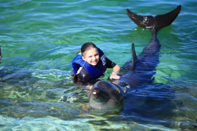 Sea Life Park Hawaii - 6