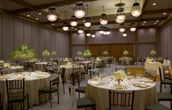 The Modern Honolulu - 7